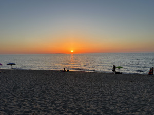 IMG_9354.jpg